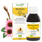 PRANAROM PROPOLEO JUNIOR  jarabe 150 ml